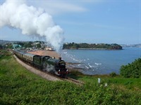 Things to do in Paignton.  The Dartmouth Steam Railway