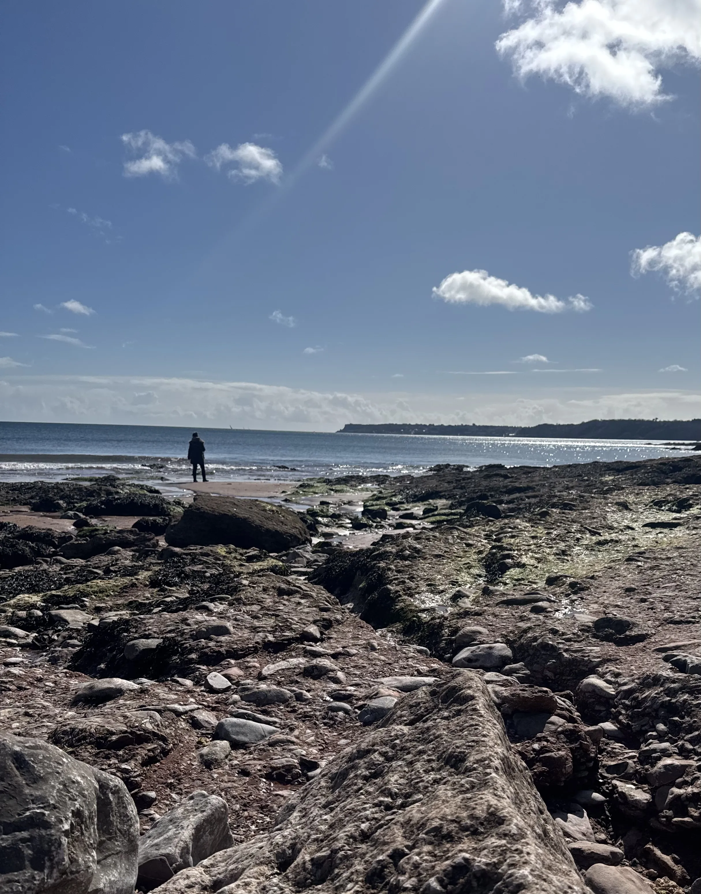 Local Coves